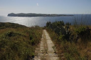 DSC_7288